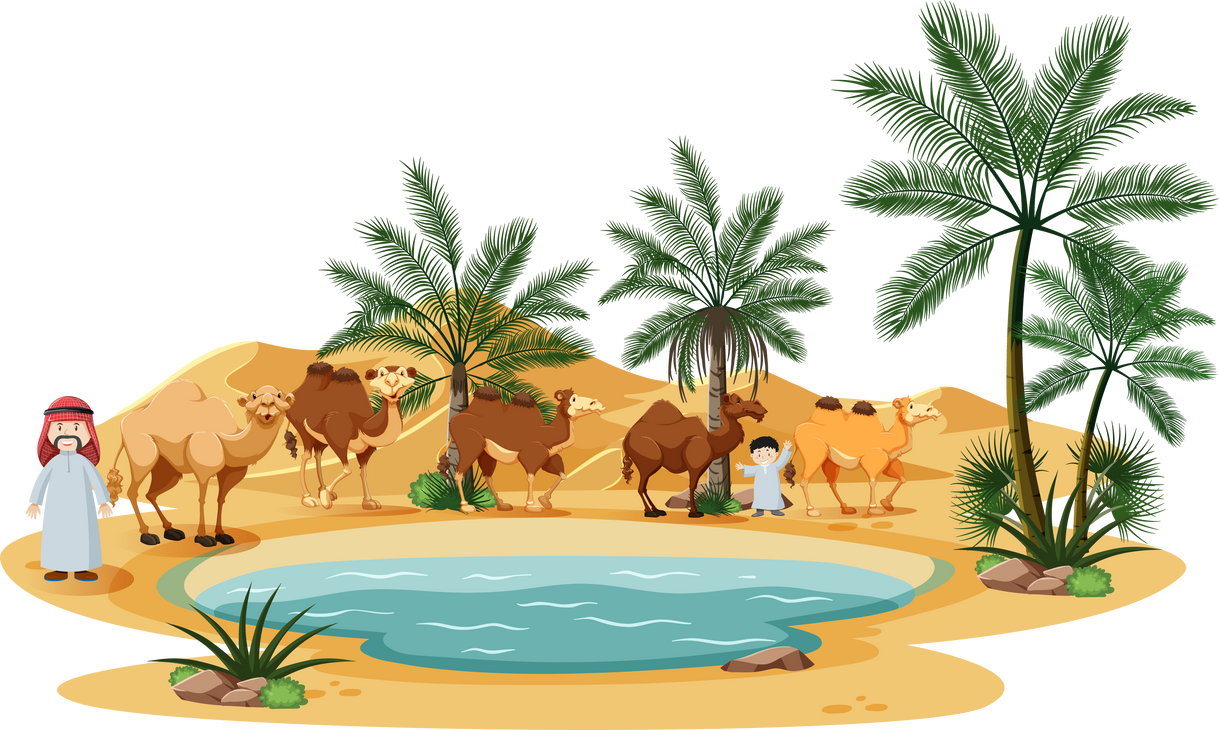 Oasis in desert with camel and nature elements on white back